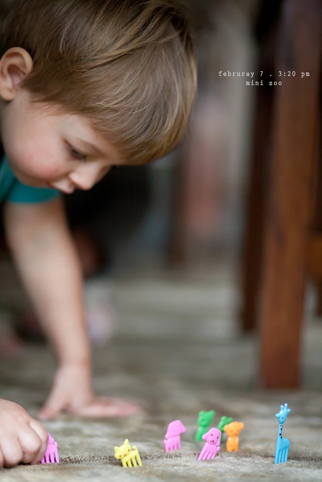 A boy lines up tiny colorful plastic animal toys on a carpet, captioned mini zoo.