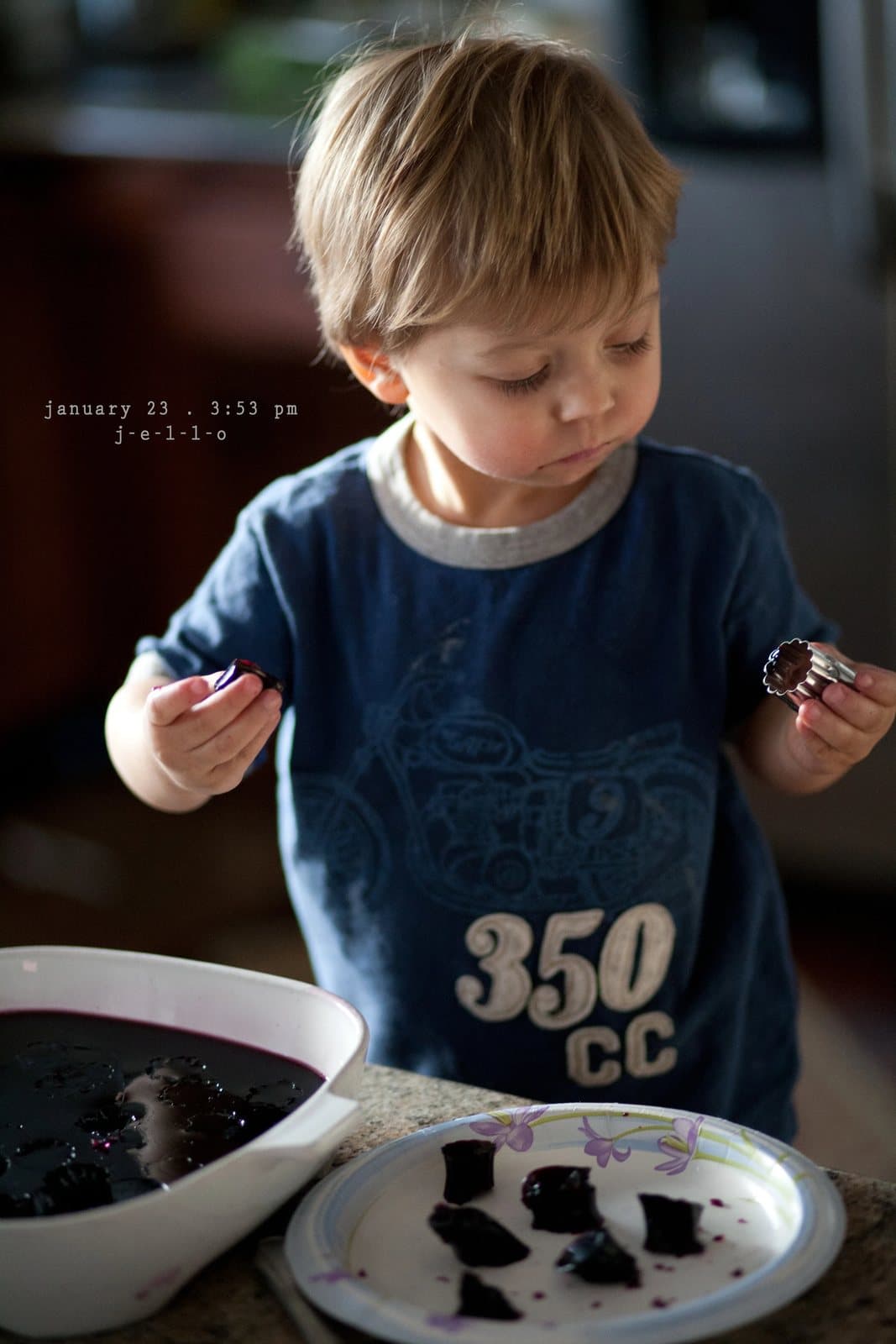A toddler in a 350cc shirt eats cubes of purple gelatin, captioned j-e-l-l-o.