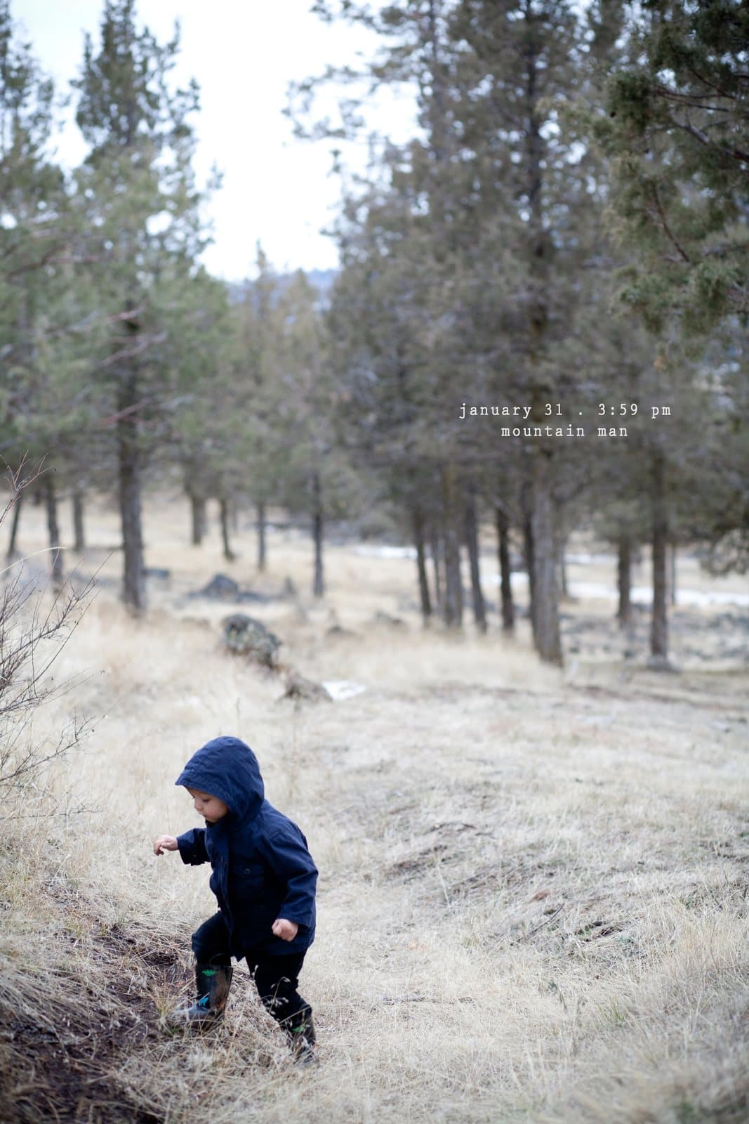 A small child in a blue hoodie explores a dry pine forest hillside, captioned mountain man.