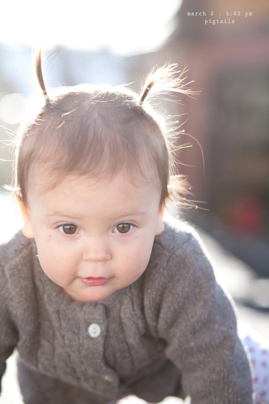 A baby in a gray cardigan with tiny pigtails crawls toward the camera, captioned pigtails.
