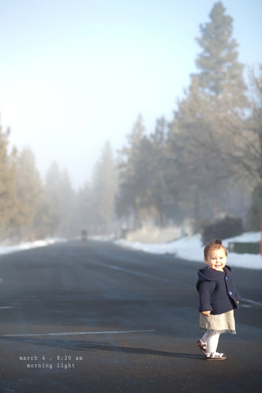 A little girl in a navy coat stands on a foggy road lined with pines, captioned morning light.