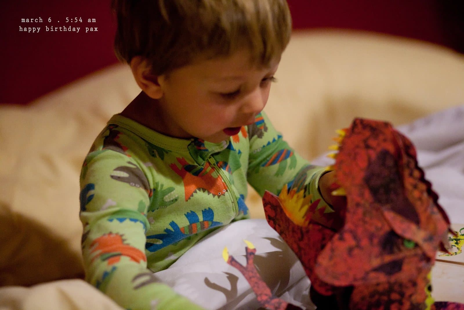 A toddler in dinosaur pajamas opens a dinosaur gift, captioned happy birthday pax.