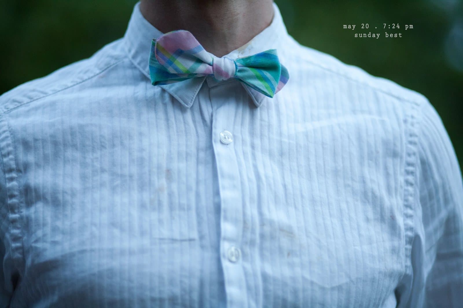 Close-up of a pastel plaid bow tie on a white dress shirt, captioned sunday best.