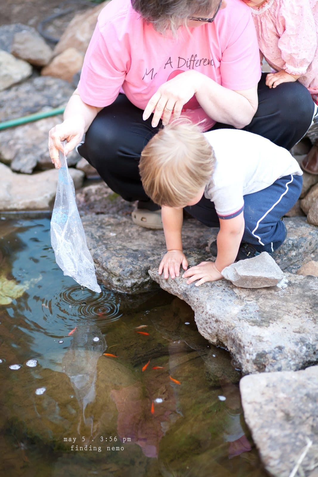 A woman and a boy scoop at a garden pond with goldfish, captioned finding nemo.