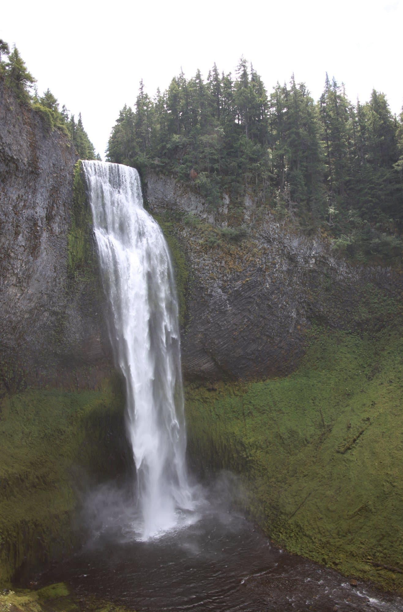 Photo handout of a tall waterfall plunging into a mossy canyon ringed by evergreens.