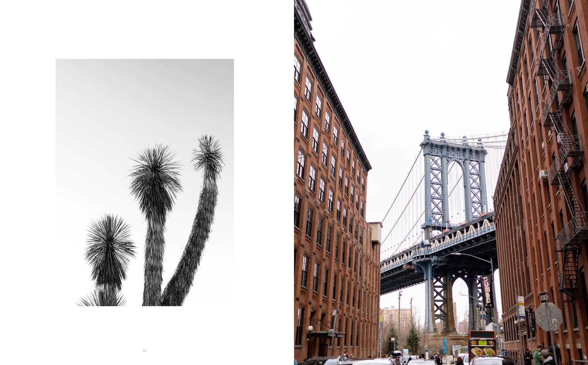 Spread from Volume 36 pairing black and white yucca trees with the Manhattan Bridge from Brooklyn.