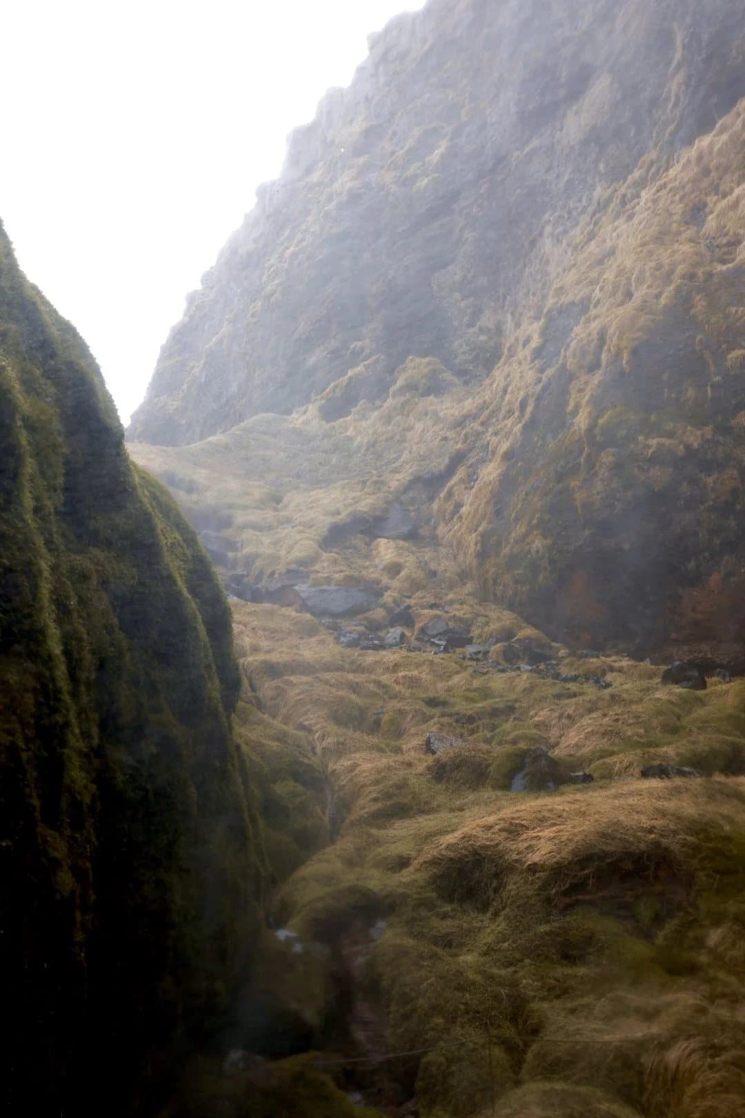 A misty, moss-covered ravine between steep cliffs in Iceland.